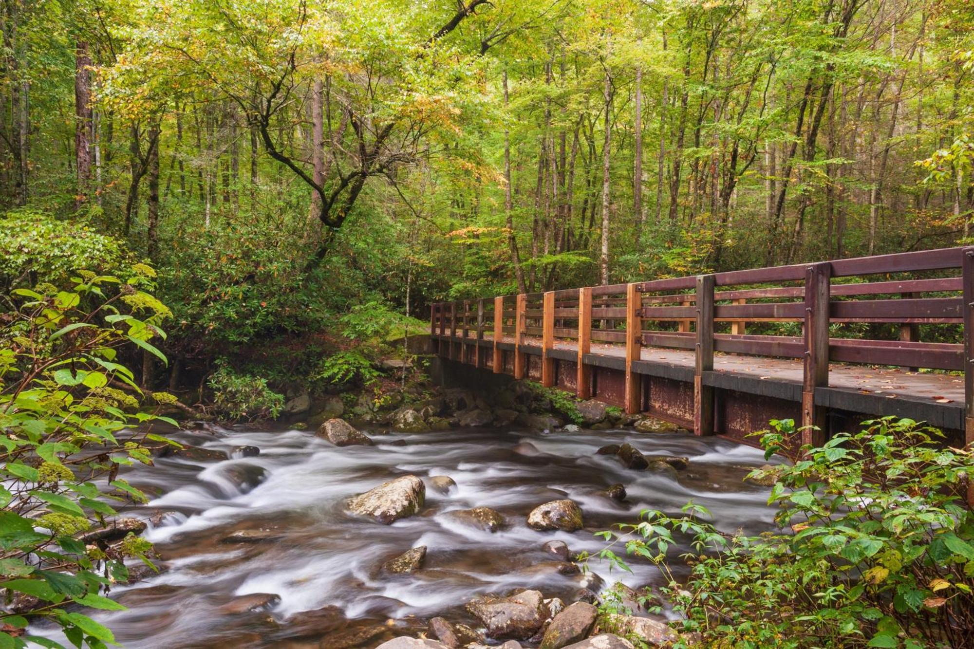 The Nut House, Hot Tub, Game Room, Wifi, 1089 Free Tickets Each Paid Day, Dollywood And More! Pigeon Forge Esterno foto